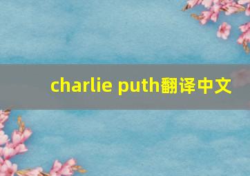 charlie puth翻译中文